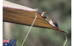 Gordigear Dachzelt 165 Plus Für 3 Personen Mit Vorzelt 165 X 320 Cm Grün 13 Gordigear Dachzelt 165 Plus Für 3 Personen Mit Vorzelt 165 X 320 Cm Grün -Camping Serien Geschäft 585663 3986115